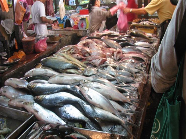 أسعار السمك اليوم تستقر في الأسواق والبلطي يسجل 39 جنيها