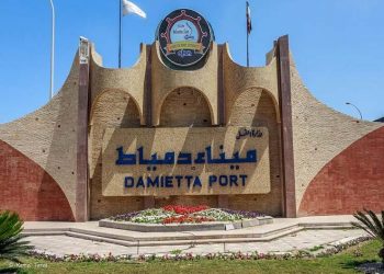 تفريغ شحنة ذرة بوزن 7500 طن بميناء دمياط