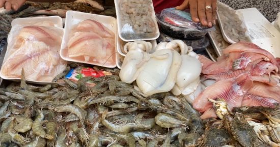 أسعار السمك اليوم السبت 19-11-2022 في سوق الجملة