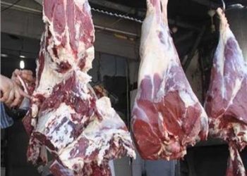أسعار اللحوم اليوم