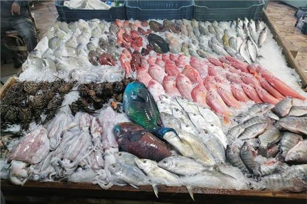 أسعار السمك اليوم الأربعاء 16-11-2022 في سوق العبور