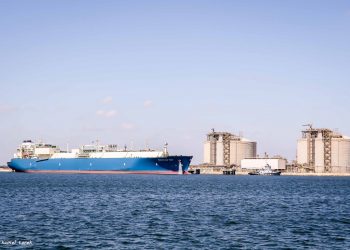 ميناء دمياط: يستقبل 2440 طن صويا و4900 طن ذرة و2044 راس ماشية (عجول تسمين)