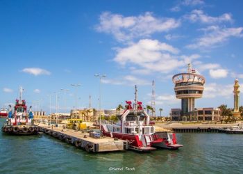 ميناء دمياط يتسقبل 9950 طن ذرة