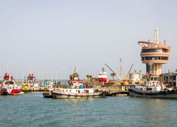 ميناء دمياط يتسقبل 13300 طن ذرة