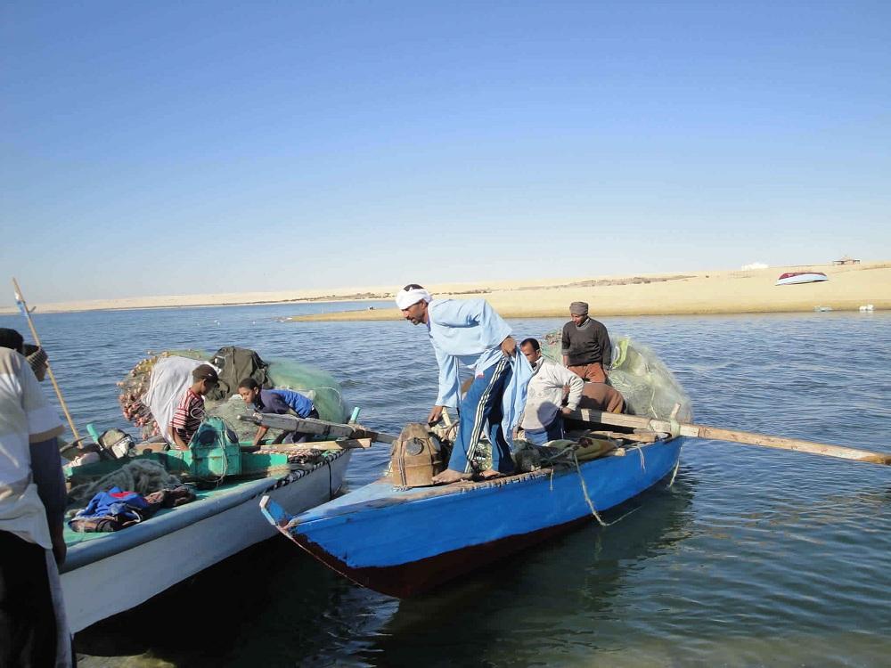 تسجيل صندوق تأمين العاملين بجهاز حماية البحيرات والثروة السمكية.