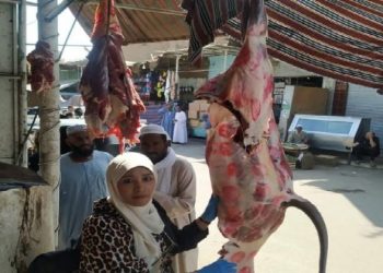 حملات تفتيشية مكثفة على محلات الجزارة والأسماك في أسوان