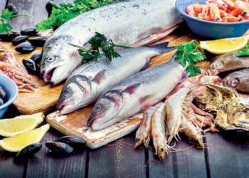 أسعار السمك اليوم