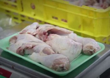 أسعار الدواجن اليوم