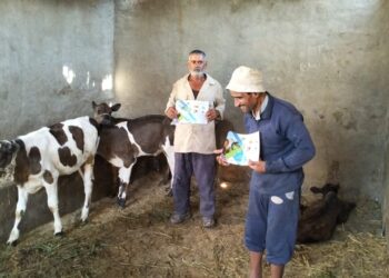 بيطري البيحري