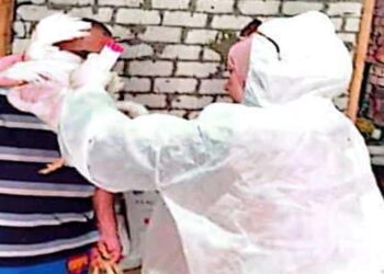 التقصي النشط لمرض إنفلونزا الطيور فى مسار الطيور المهاجرة