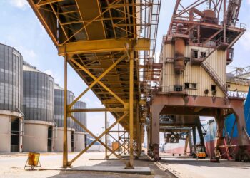 لليوم الثاني بدون ذرة.. ميناء دمياط يستقبل 644 راس ماشية (تسمين ) خلال 24ساعة