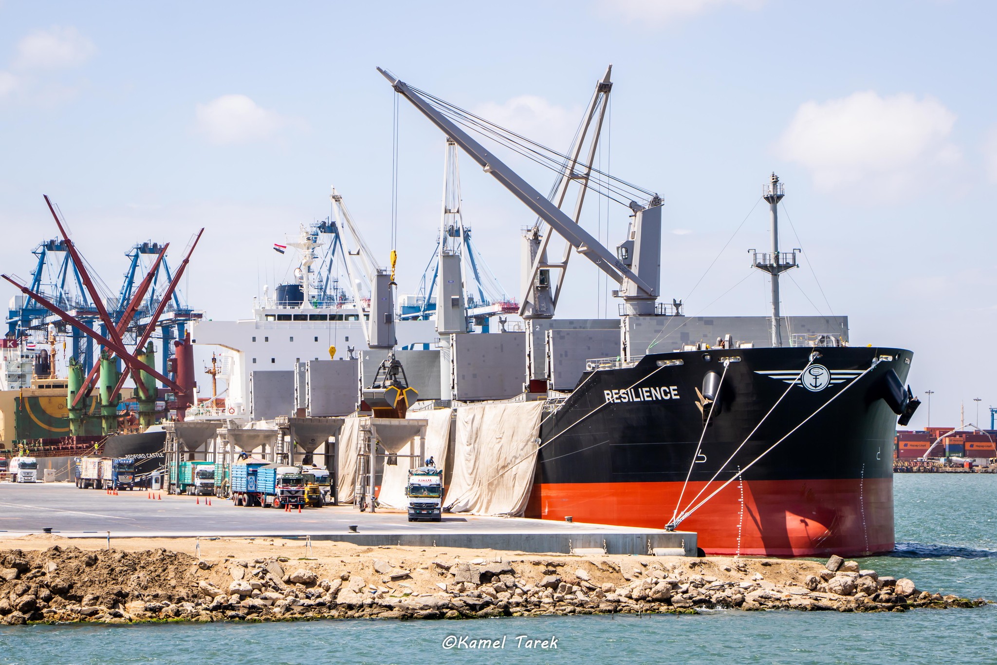 ميناء دمياط يستقبل 16 ألف طن ذرة خلال 24 ساعة