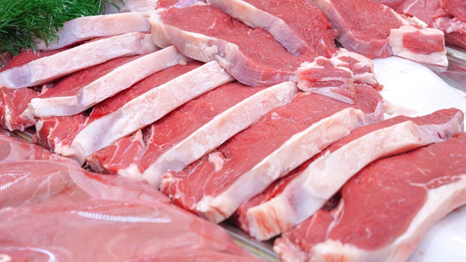 أسعار اللحوم اليوم تواصل استقرارها في الأسواق
