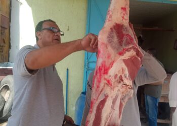 ضبط 13 جزارًا يبيعون لحومًا غير صالحة للاستهلاك الآدمى