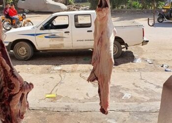 تحرير 103 محاضر تموينية متنوعة بسوهاج