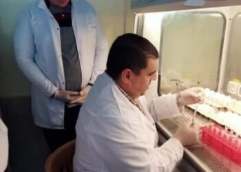 معايرة لقاحات حية لمرض الجمبورو للحفاظ على صناعة الدواجن في مصر