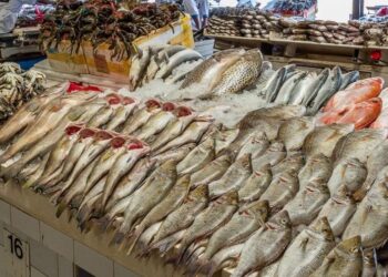 استقرار أسعار السمك اليوم الثلاثاء 21 فبراير 2023