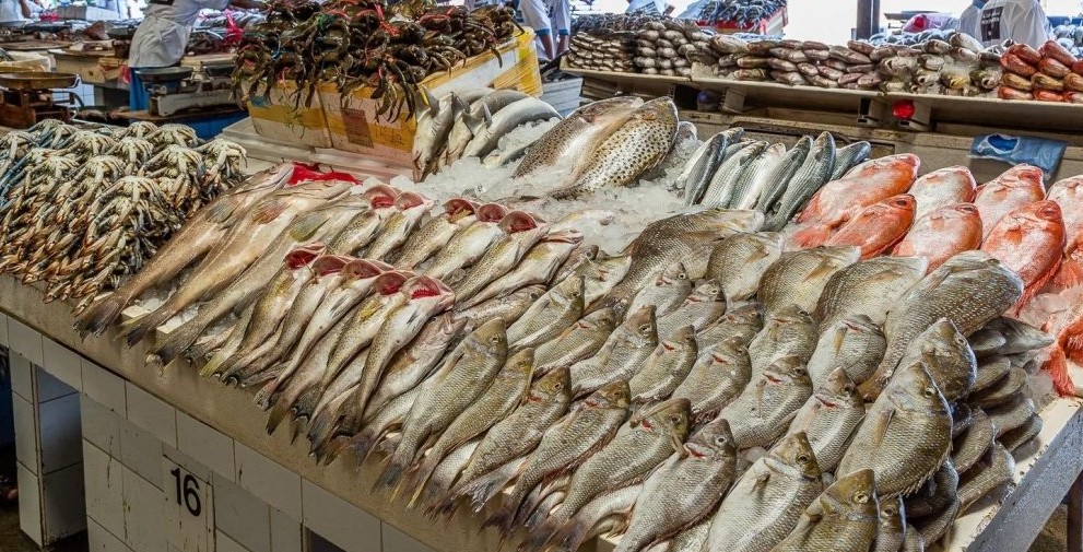 استقرار أسعار السمك اليوم الثلاثاء 21 فبراير 2023