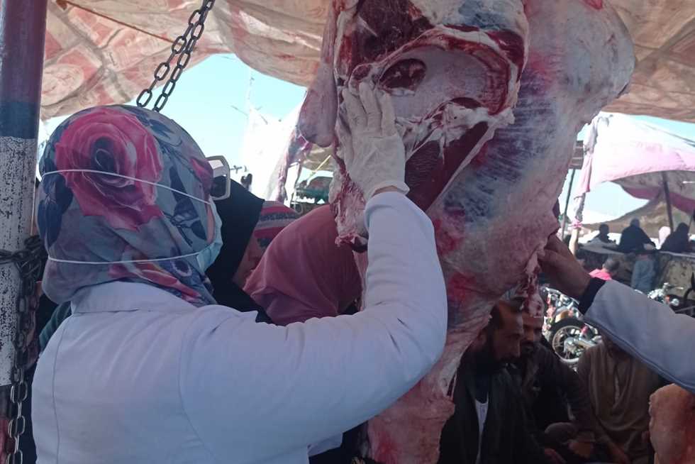 إعدام كمية من مخلفات اللحوم والدهون الفاسدة بشمال سيناء