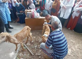 قافلة بيطرية