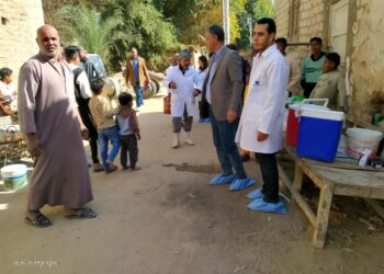 تحصين 294 رأس ماشية و2500 طائر بقافلة بيطرية فى الأقصر