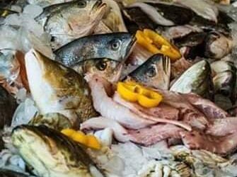 أسعار السمك اليوم الثلاثاء 14 فبراير 2023