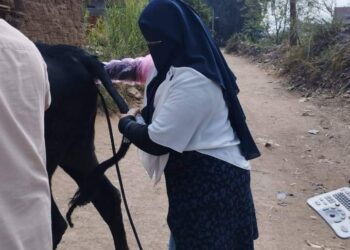 بيطري المنوفية.. متابعة الإرشاد بوحدة غمرين
