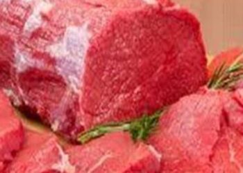 أسعار اللحوم في السوق اليوم الثلاثاء 14فبراير 2023