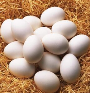 أسعار البيض اليوم الإثنين 13فبراير 2023