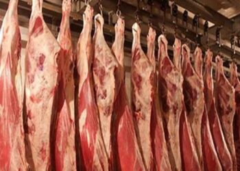 أسعار اللحوم اليوم الأحد 19 فبراير 2023