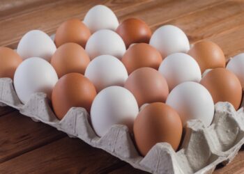 شعبة البيض: انخفاض الأسعار طبيعي مع بداية صوم الأقباط