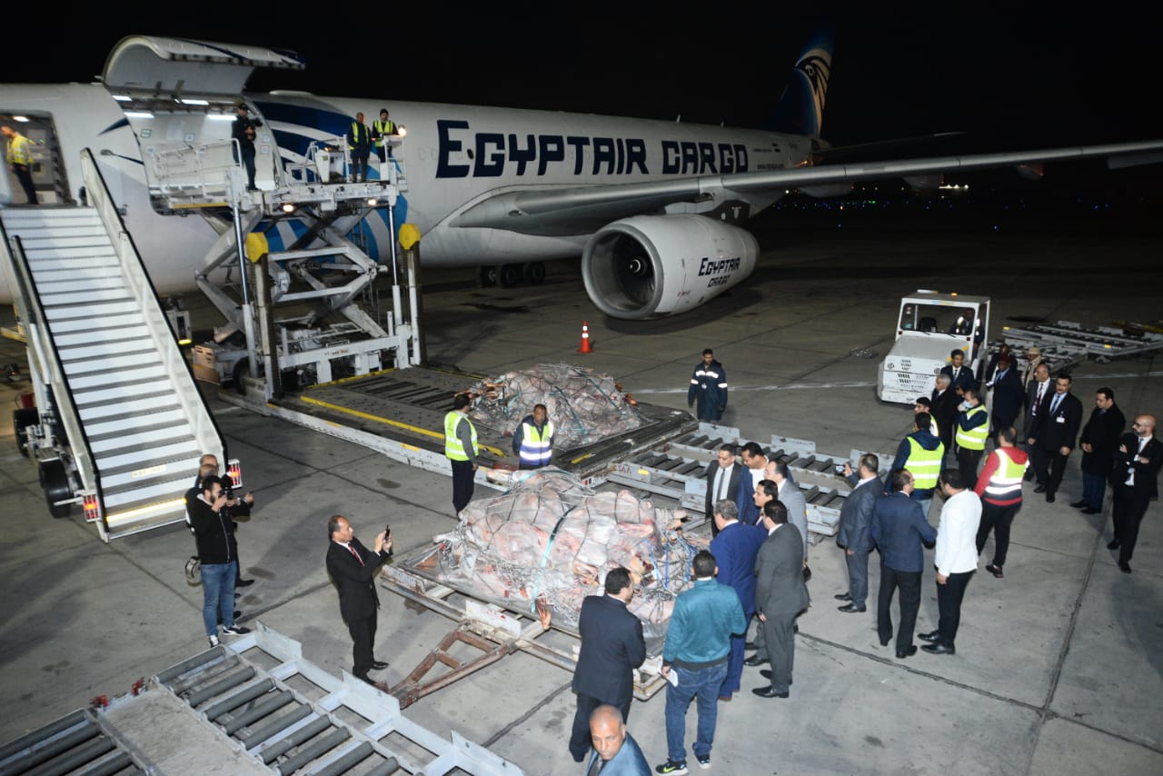 نحو 600 ألف طن.. "مصر للطيران" تنقل شحنات اللحوم المبردة من تشاد إلى القاهرة