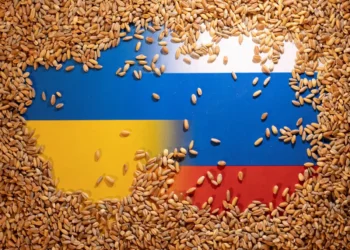 على غرار موسكو.. كييف تخصص نحو 125 ألف طن من الحبوب لشحنها إلى إفريقيا