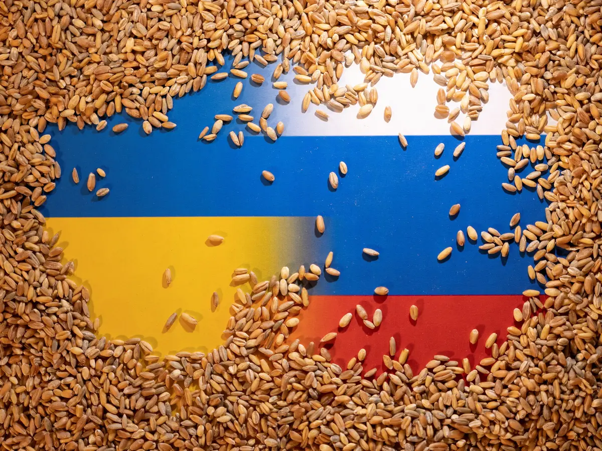 على غرار موسكو.. كييف تخصص نحو 125 ألف طن من الحبوب لشحنها إلى إفريقيا