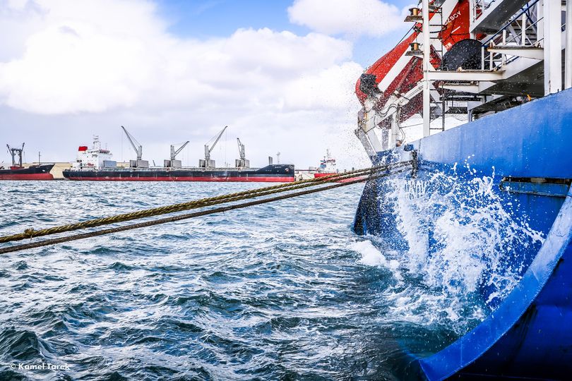 ميناء دمياط يستقبل 1082طن ذرة و6577 طن صويا خلال 24 ساعة