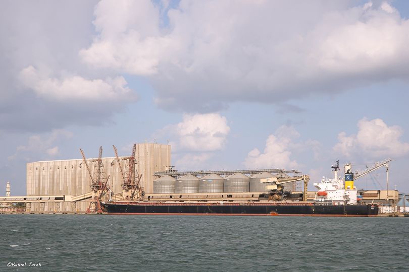 ميناء دمياط يستقبل 987 طن ذرة و9133 طن صويا خلال 24 ساعة