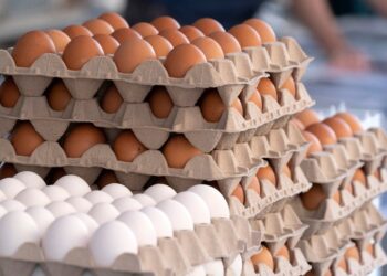 خاص| مسوق دواجن يكشف حقيقة وصول سعر بيض المائدة لـ200 جنيه قريبا!