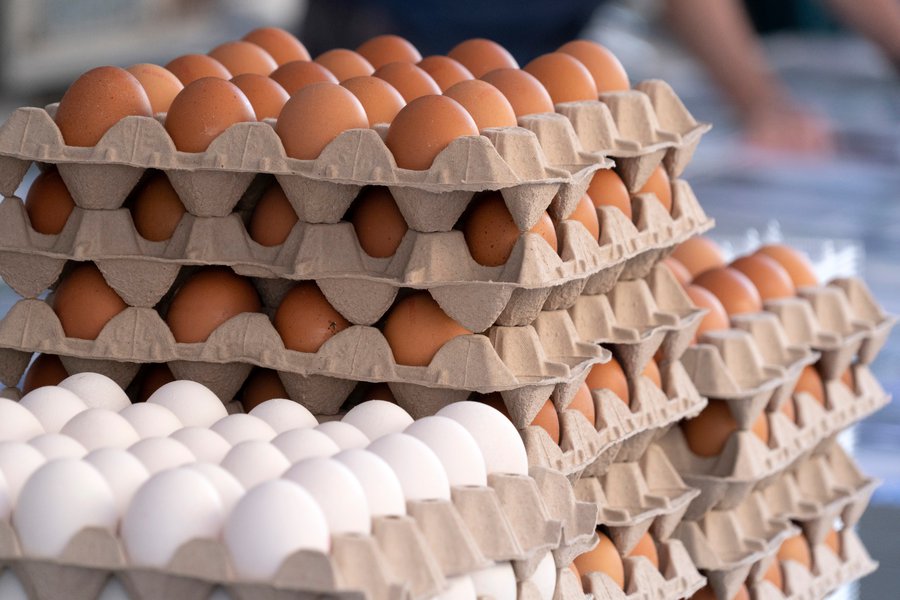 خاص| مسوق دواجن يكشف حقيقة وصول سعر بيض المائدة لـ200 جنيه قريبا!