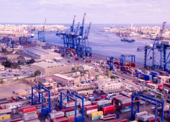 ميناء غرب بورسعيد يستقبل 13 ألف رأس ماشية حية قادمة من كولومبيا