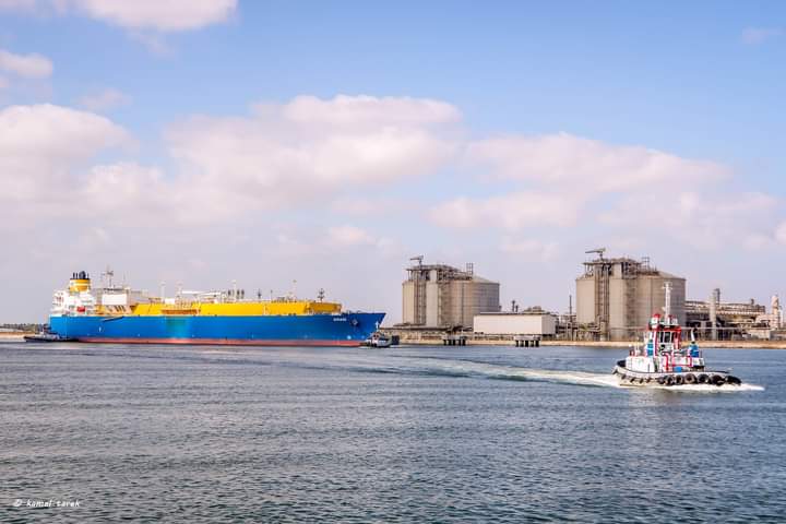 ميناء دمياط يستقبل2590 قمح و487 طن صويا معبأ