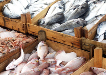 الزراعة: نغطى نحو 97% من حجم استهلاك مصر من الأسماك