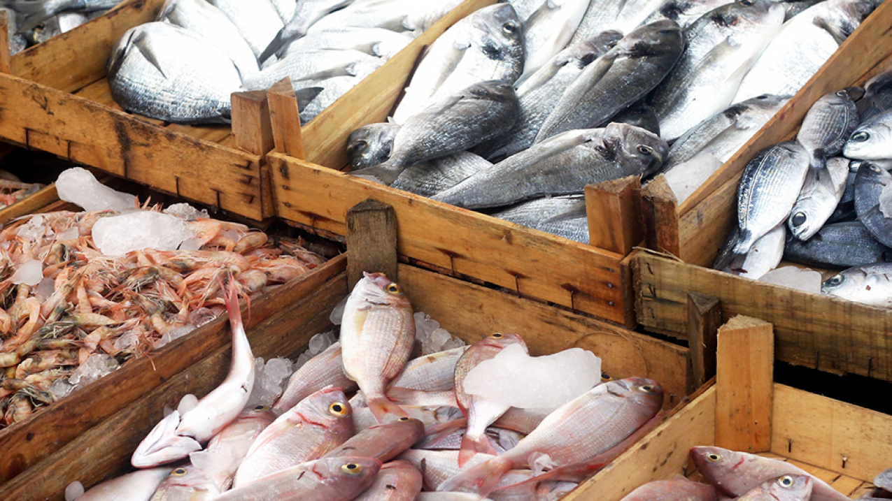 الزراعة: نغطى نحو 97% من حجم استهلاك مصر من الأسماك