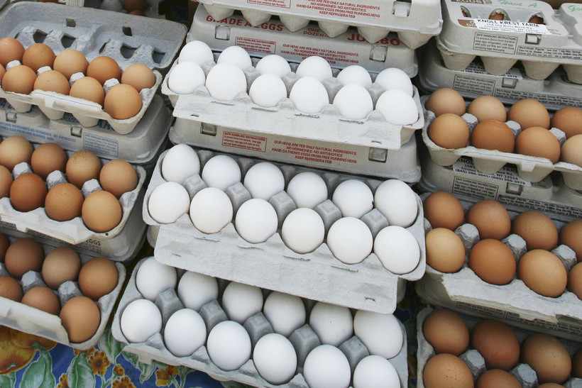 الزراعة تنفي وجود ما يسمى بـ"البيض البودرة" في مصر