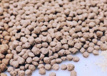 أحمد عياط يكشف لـ"قلم بيطري" تأثير ارتفاع خامات الأعلاف على صناعة الأسماك