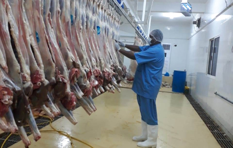 الأردن تحظر استيراد اللحوم البرازيلية لهذا السبب!