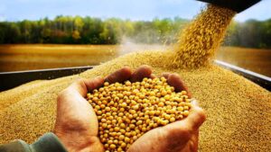 ارتفاع إنتاج روسيا من الحبوب بنسبة 29.9% خلال 2022