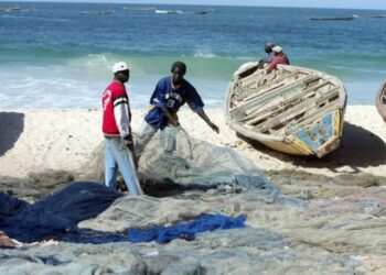 موريتانيا: حظر صيد أسماك القاع بالشباك الجرار
