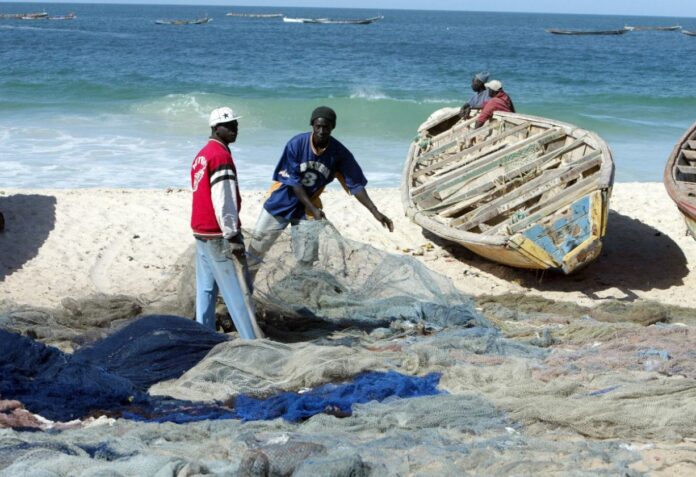 موريتانيا: حظر صيد أسماك القاع بالشباك الجرار