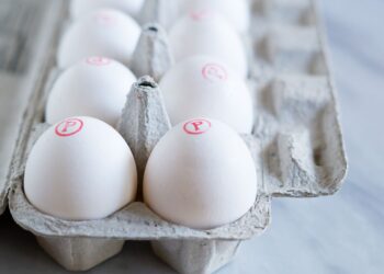 شعبة بيض المائدة: ضد قرارات عمليات الإستيراد من الخارج ونحن مع توطيد الصناعة المحلية