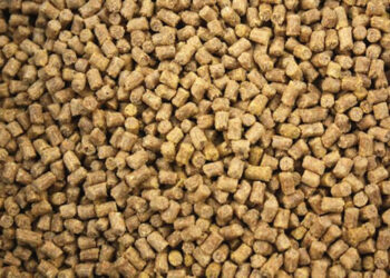 أعلاف الدواجن